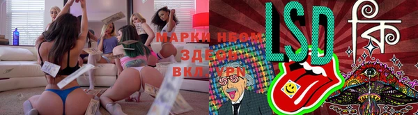 СК Армянск